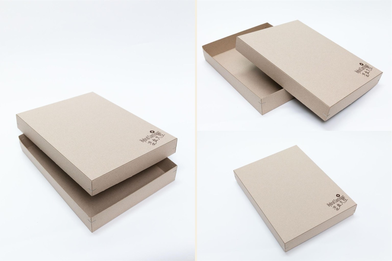 Zaizai Books book and cultural edition packaging