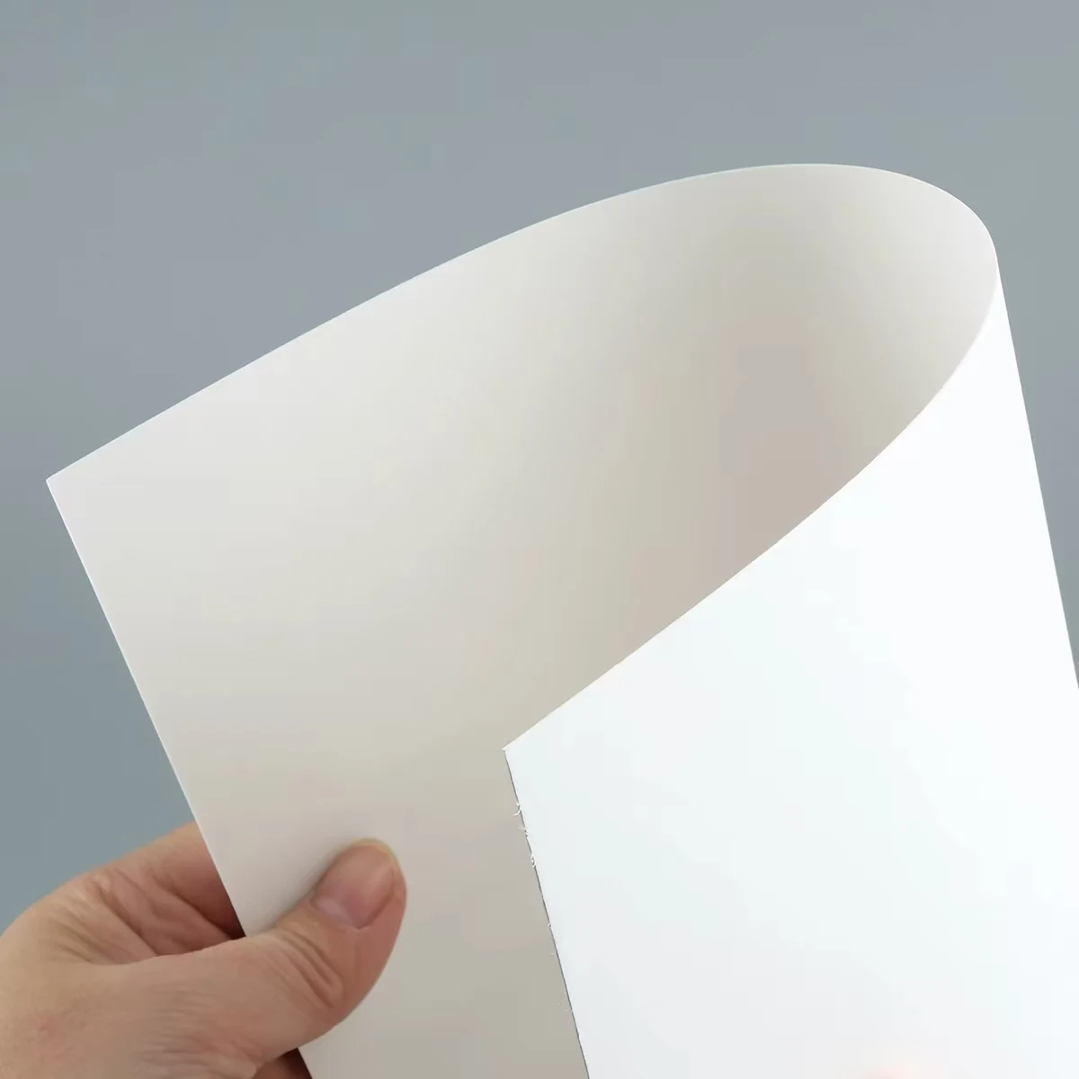 White cardboard paper bending sample